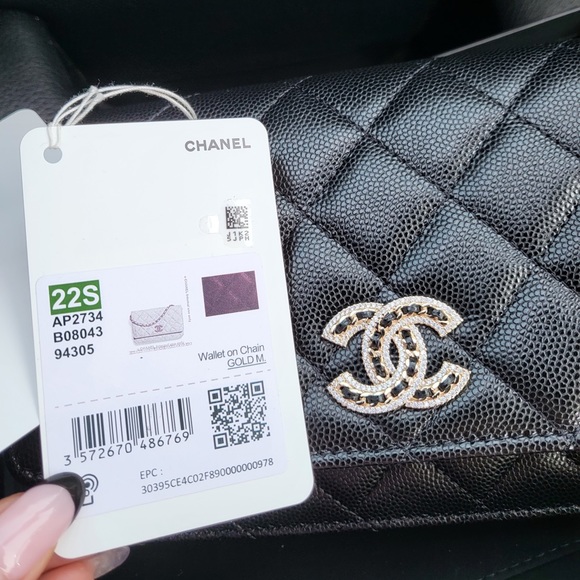 SOLD CHANEL Wallet on chain bag BNIB seasonal limited design